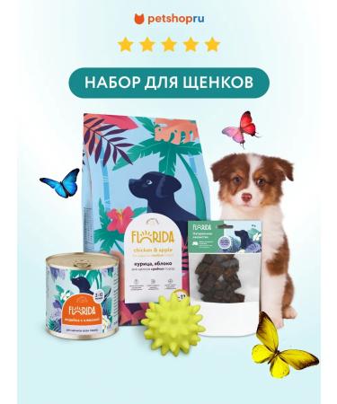 Florida Set for puppies dry food canned food delicacy and toy