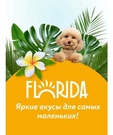 Florida Set for puppies dry food canned food delicacy and toy - Buy Online on GoSupps.com
