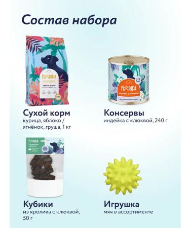 Florida Set for puppies dry food canned food delicacy and toy - Buy Online on GoSupps.com