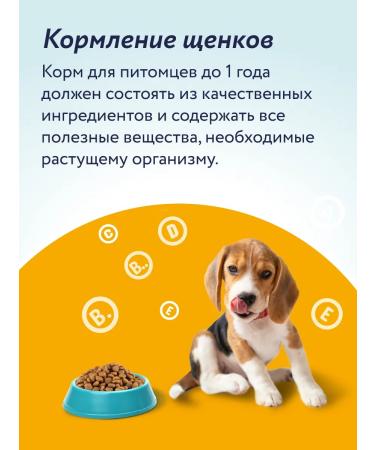 Florida Set for puppies dry food canned food delicacy and toy - Buy Online on GoSupps.com