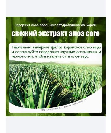 OSUFI Moisturizing face with aloe - Buy Online on GoSupps.com