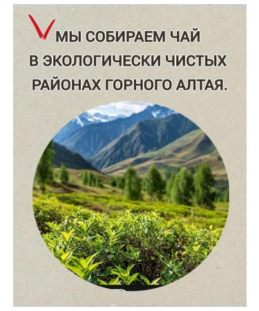 Danila Travnik Altai spring of herbal gathering tea with ginkgo bilobo - Buy Online on GoSupps.com