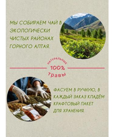 Danila Travnik Altai spring of herbal gathering tea with ginkgo bilobo - Buy Online on GoSupps.com