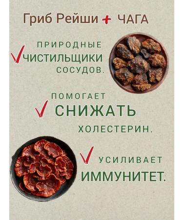 Danila Travnik Altai spring of herbal gathering tea with ginkgo bilobo - Buy Online on GoSupps.com