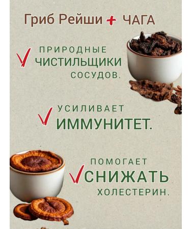 Danila Travnik Altai spring of herbal gathering tea with ginkgo bilobo - Buy Online on GoSupps.com