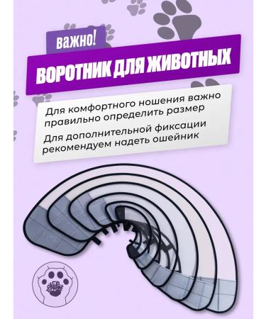 Brave heart Collar for cats and dogs on the neck - Buy Online on GoSupps.com