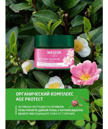 WELEDA Face smoothing day cream 40 ml - Buy Online on GoSupps.com