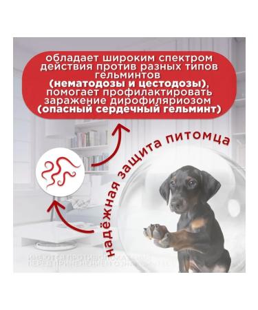 Apicenna Helmimax 20 for dogs of large breeds 2 tab - Buy Online on GoSupps.com