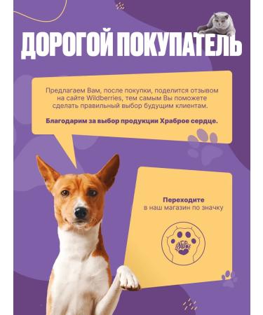 Brave heart Protective collar for dogs on Velcro - Buy Online on GoSupps.com