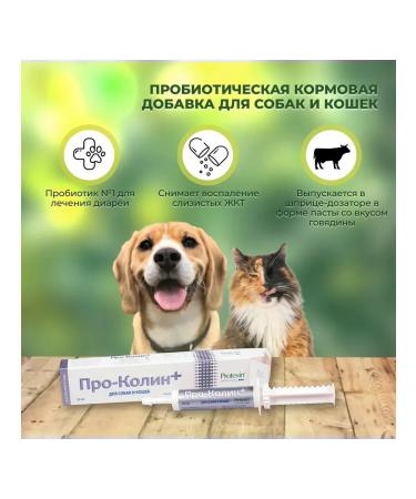 Protein Prokolin for animal microflora 60 ml - Buy Online on GoSupps.com