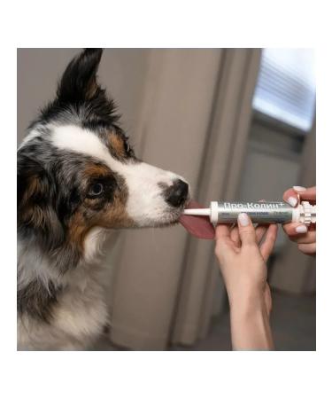 Protein Prokolin for animal microflora 60 ml - Buy Online on GoSupps.com