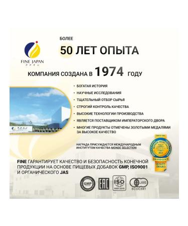 Fine Japan Ginko biloba for the brain and blood vessels nootropic 90 pcs - Buy Online on GoSupps.com