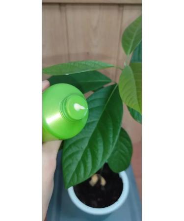 Vitex Anti -cellulite massage cream 200 ml 1 pc - Buy Online on GoSupps.com