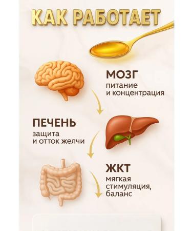 health of Siberia Vitamamama Family sunflower Lecithin (syrup) 2 - Buy Online on GoSupps.com