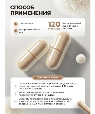 Mr Borovik Grebenchate hedgehog extract 120 capsules 600 mg - Buy Online on GoSupps.com