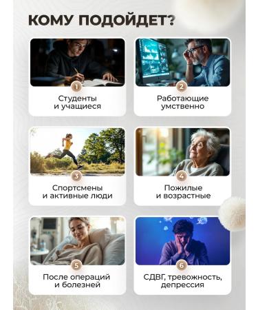 Mr Borovik Grebenchate hedgehog extract 120 capsules 600 mg - Buy Online on GoSupps.com