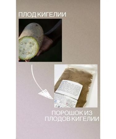 Africa Natural Powder from the fruits of Kigelia African (Kigelia Africana) - Buy Online on GoSupps.com