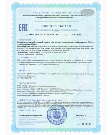 2SN BCAA 2 1 1 Bzaa amino acid capsules complex 100 capsules - Buy Online on GoSupps.com