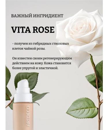 Artdeco The foundation base of Perfect Matte Serum Foundation is 18 20 ml - Buy Online on GoSupps.com