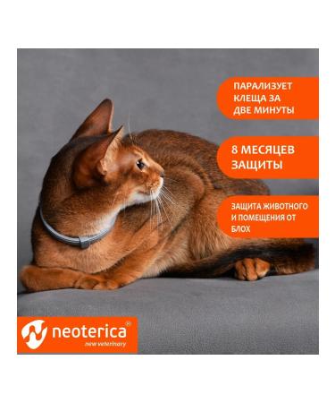 Rolf Club 3D Antiparasite collar for cats 40 cm - Buy Online on GoSupps.com