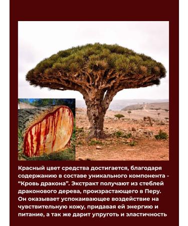 VT Cosmetics Intensive booster with microeles and antioxidants 300 - Buy Online on GoSupps.com