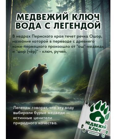 Bear Key Mineral water with magnesium soda 12 pcs 0.33 liters - Buy Online on GoSupps.com