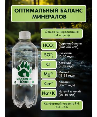 Bear Key Mineral water with magnesium soda 12 pcs 0.33 liters - Buy Online on GoSupps.com