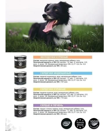 Fourlegged Gourmet Dog food moist offal yellow+heart+liver 240g 12pcs - Buy Online on GoSupps.com