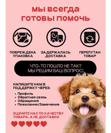 SPACEBAK Feed for dogs dry 0.8 kg for small breeds with lamb - Buy Online on GoSupps.com