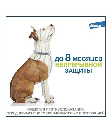 Elanco Collar from ticks fleas and lice for dogs more than 8kg - Buy Online on GoSupps.com