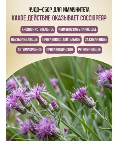bee lab Saossus controversial (fraternal rubbish) grass 2 pcs. 25 gr - Buy Online on GoSupps.com