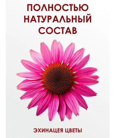 bee lab Echinacea Purple strong immunostimulant 100 g - Buy Online on GoSupps.com