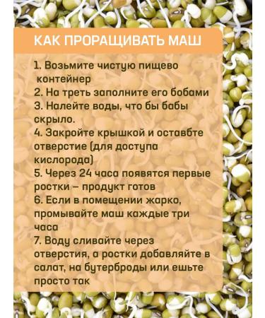 National Mash Bobs Mung for germination 6pcs - Buy Online on GoSupps.com