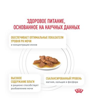 ROYAL CANIN Urinary S o Wet food for cats at MKB 28 x 85 g - Buy Online on GoSupps.com