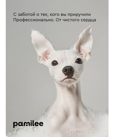 Pamilee Sphinx mushroom-pens unsteady bald cats and dogs - Buy Online on GoSupps.com
