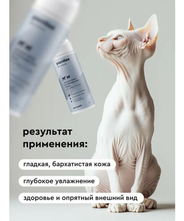 Pamilee Sphinx mushroom-pens unsteady bald cats and dogs - Buy Online on GoSupps.com