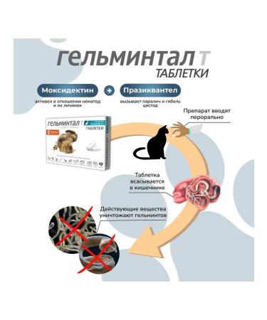 Neoterica Helminestal tablets for cats of more than 4 kg 2 pcs - Buy Online on GoSupps.com