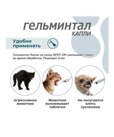Neoterica Gelmintal Spot-on worm drops for cats  - Buy Online on GoSupps.com