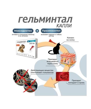 Neoterica Gelmintal Spot-on anthelmintic drops for cats weighing 4-10 kg - Buy Online on GoSupps.com