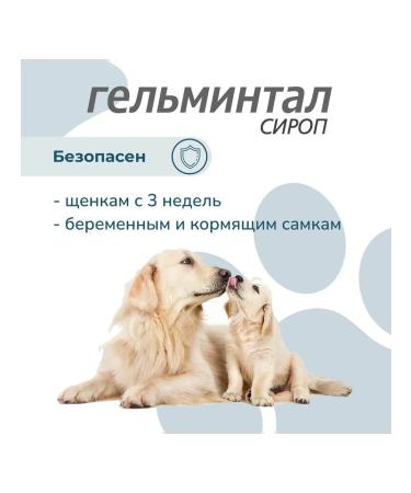 Neoterica Helminthal syrup for dogs more than 10 kg - Buy Online on GoSupps.com