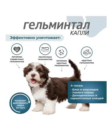 Neoterica Gelmintal Spot-on worm drops for puppies and dogs  - Buy Online on GoSupps.com