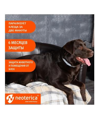 Rolf Club 3D Antiparasite collar for puppies and small dogs 40 cm - Buy Online on GoSupps.com