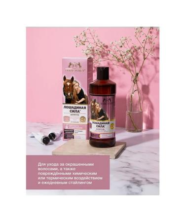 SOLEOLES Horsepower shampoo for dyed hair 500 ml - Buy Online on GoSupps.com