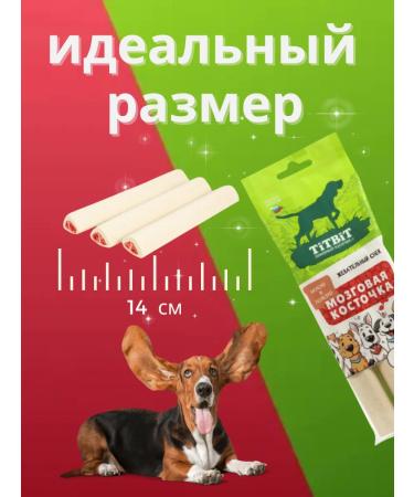 Titbit Chewing snack for dogs brain bone - Buy Online on GoSupps.com