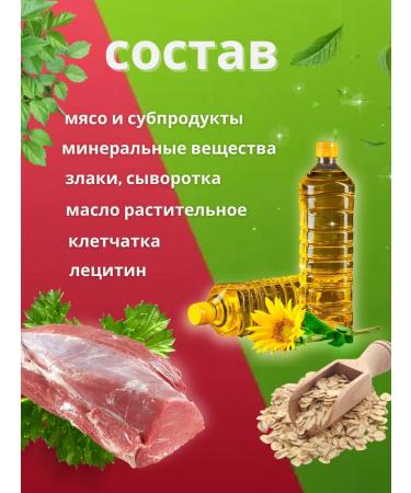 Titbit Chewing snack for dogs brain bone - Buy Online on GoSupps.com