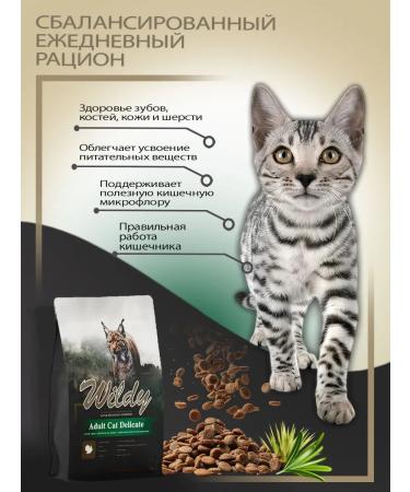 WILDY Adult cat delicate dry cat food 1 kg - Buy Online on GoSupps.com