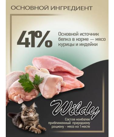 WILDY Adult cat delicate dry cat food 1 kg - Buy Online on GoSupps.com
