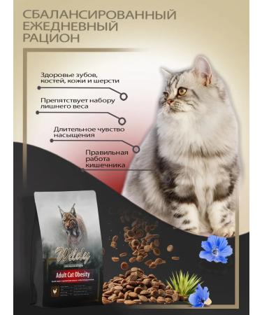 WILDY Adult Cat Obesity dry cat food 1 kg - Buy Online on GoSupps.com