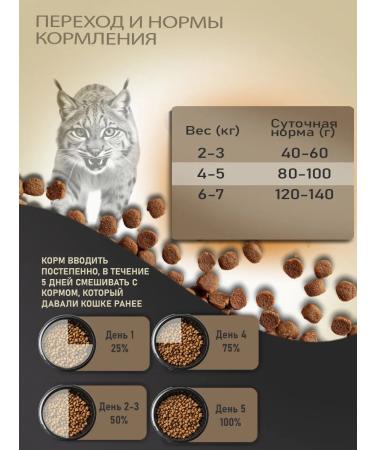 WILDY Adult Cat Sterilized Dry Feed for Cats 3 kg - Buy Online on GoSupps.com