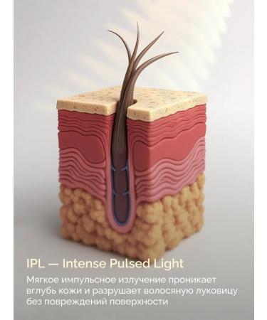 FEMMEFLASH Laser photoeplator is professional - Buy Online on GoSupps.com